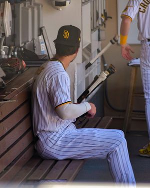 Image post by @baseballmegs on Instagram
