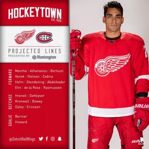 Image post by @detroitredwings on Instagram