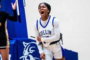 Image post by @collincollege on Instagram