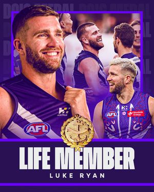 Image post by @freodockers on Instagram