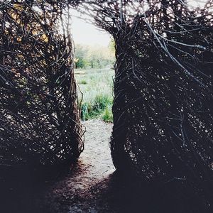 Image post by @bryanexplosion on Instagram