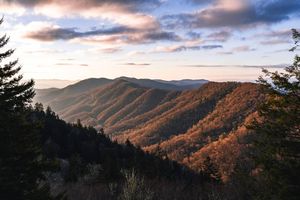 Image post by @_matthewcletus on Instagram