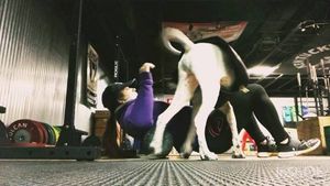 Video post by @mandimurakami on Facebook