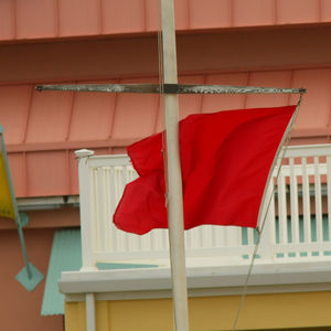 Image post by @scott_lukaitis on Instagram