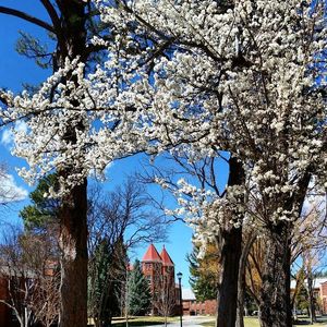 Image post by @nauflagstaff on Instagram
