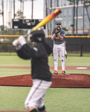 Image post by @rawlingstigers on Instagram