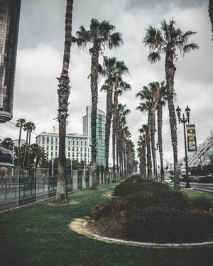 Image post by @ryxnlevy on Instagram