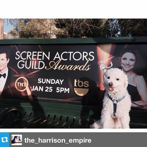 Image post by @sagawards on Instagram