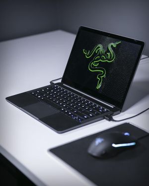 Image post by @razer on Instagram