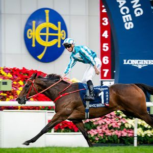 Image post by @worldhorseracing on Instagram