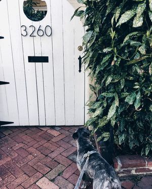 Image post by @katrinakagan on Instagram