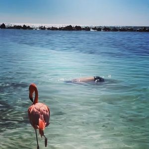 Image post by @pvellner on Instagram