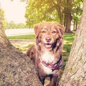 Image post by @wkrntv on Instagram