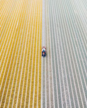 Image post by @dronepals on Instagram