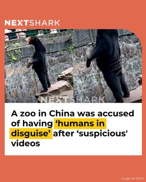 Image post by @nextshark on Instagram