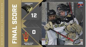 Image post by @lu_rollerhockey on Instagram