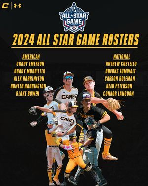 Image post by @thecanesbb on Instagram