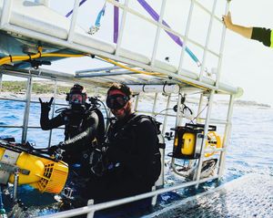 Image post by @discovery on Instagram
