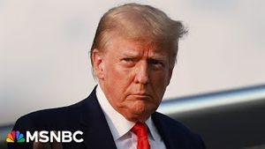 Video post by @msnbc on YouTube