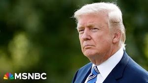 Video post by @msnbc on YouTube
