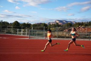 Image post by @steeple_squigs on Instagram