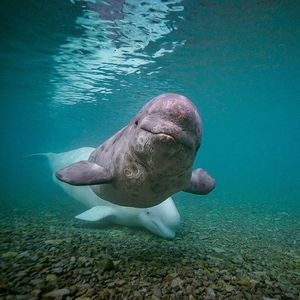 Image post by @natgeo on Instagram