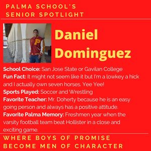 Image post by @palma_school on Instagram