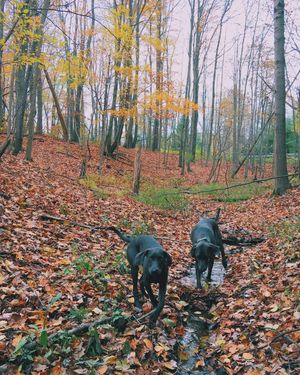 Image post by @vsco on Instagram