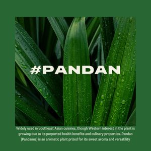 Image post by @namcoffeeco on Instagram