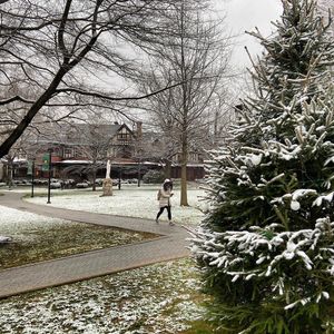 Image post by @loyolamaryland on Instagram