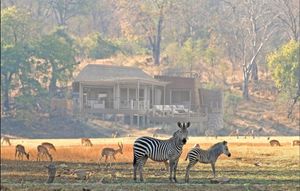 Image post by @chiawasafaris on Instagram