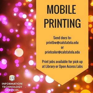 Image post by @mycalstatela on Instagram