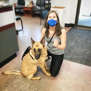 Image post by @spokhumanesoc on Instagram