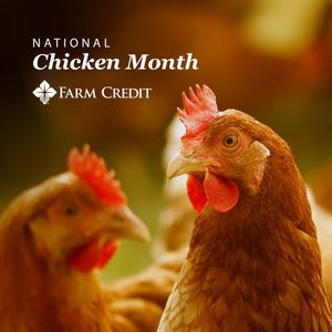 Image post by @farmcredit on Instagram