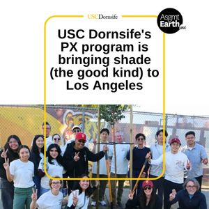 Image post by @uscdornsife on Instagram