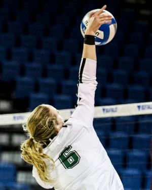 Image post by @binghamtonvb on Instagram
