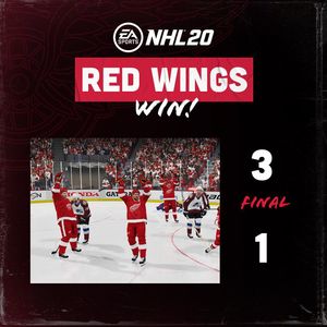 Image post by @detroitredwings on Instagram