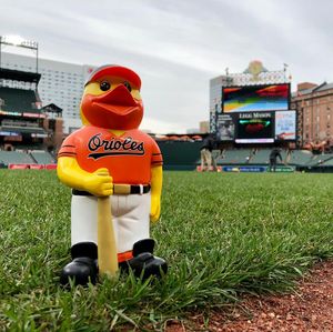 Image post by @orioles on Instagram