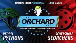 Video post by @pickleballchannel on YouTube