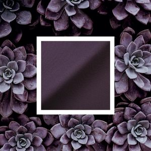 Image post by @pallastextiles on Instagram