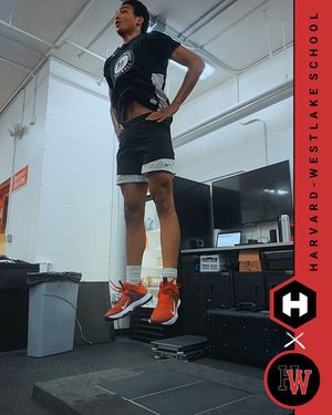 Image post by @hawkindynamics on Instagram