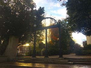 Image post by @universityofga on Instagram