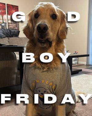 Image post by @barstoolkent on Instagram