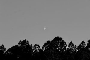 Image post by @brandonlarochelleproductions on Instagram