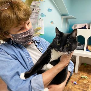 Image post by @spokhumanesoc on Instagram