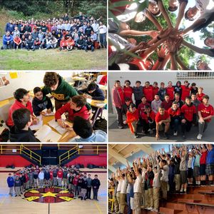 Image post by @palma_school on Instagram