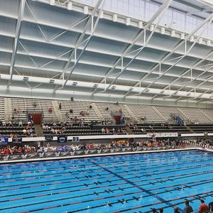 Image post by @wpiswimdive on Instagram