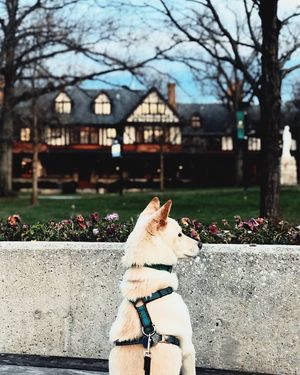 Image post by @loyolamaryland on Instagram