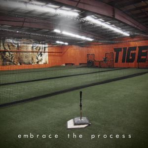 Image post by @rawlingstigers on Instagram