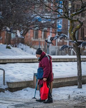 Image post by @mtl_unscripted on Instagram